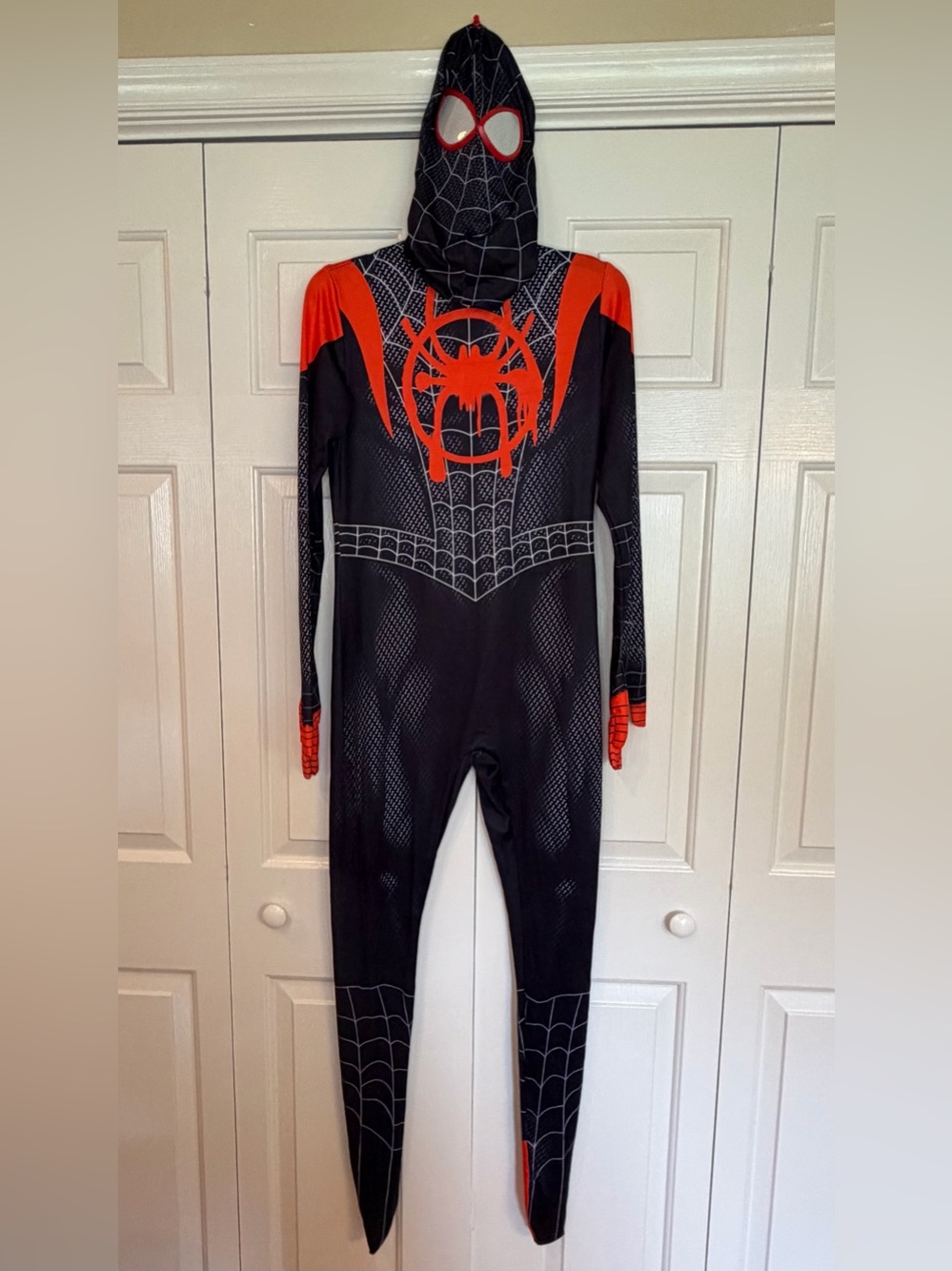 Spider-Man costume Adult Small